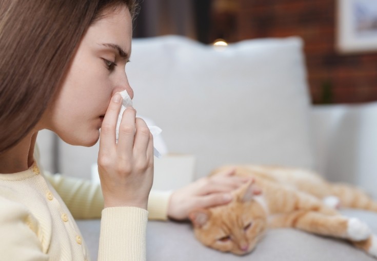 Kissa-allergia siivous